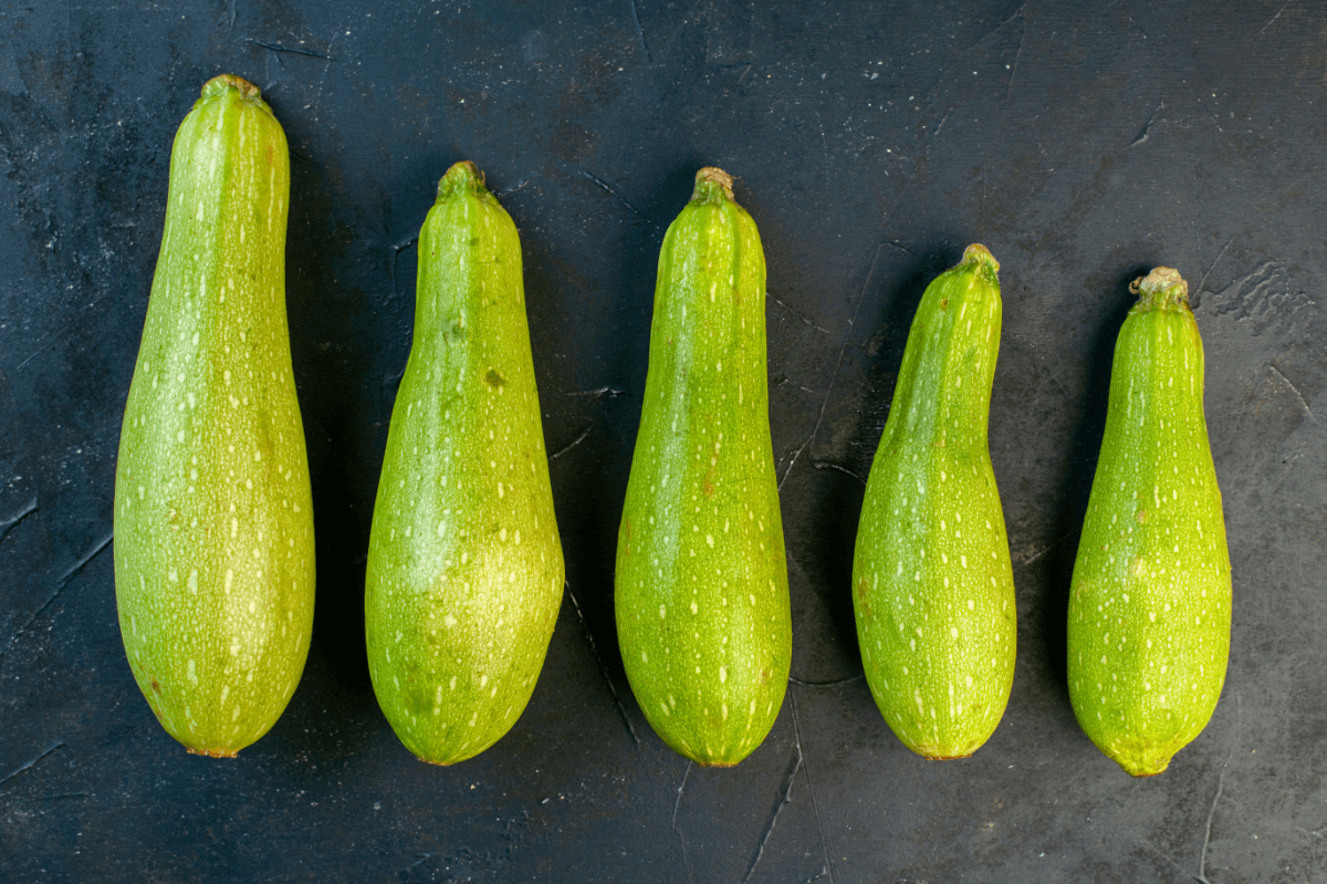 Fleischpenis vs Blutpenis / Grower vs Shower Symbolbild Zucchini in unterschiedlichen Größen /Symbolic image of zucchinis in different sizes