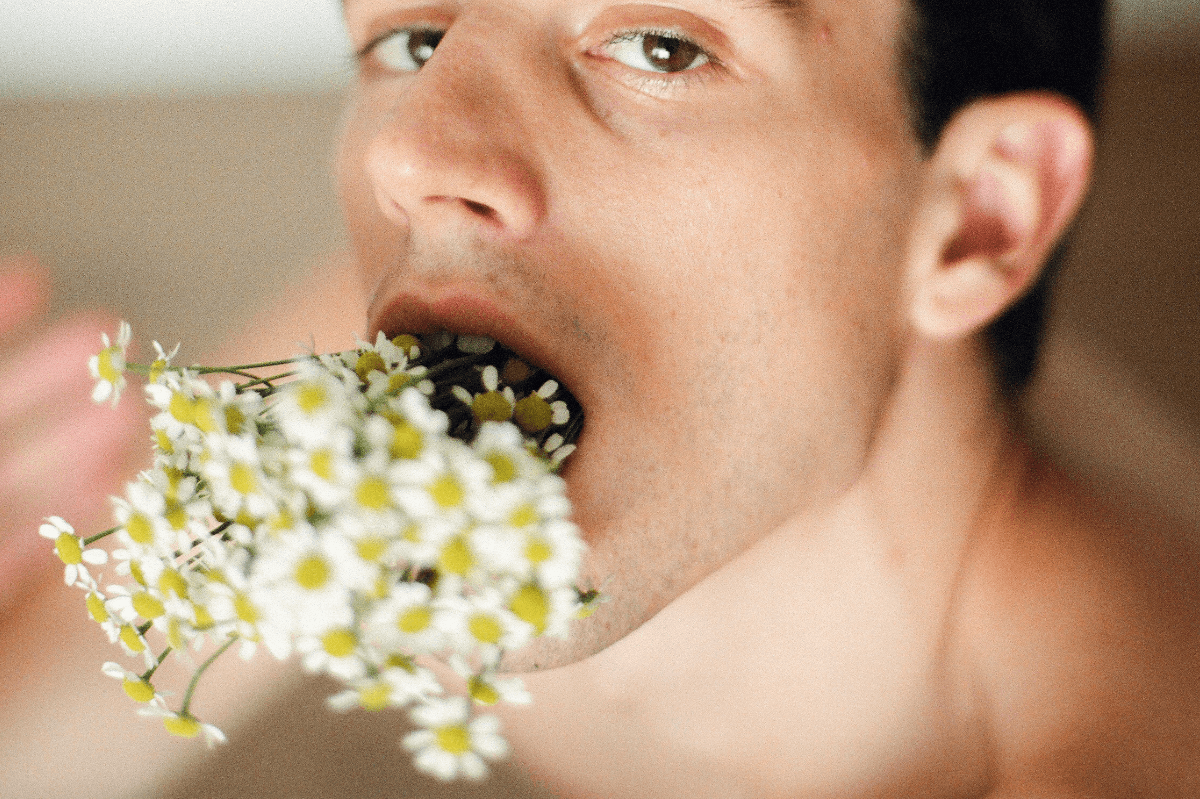 Deep Throat Tipps für Empfänger. Symbolbild: Ein Mann steckt sich einen Strauß Blumen tief in den Hals und schaut lüstern. Englisch: Deep throat tips for recipients. Symbolic image: A man sticks a bunch of flowers deep down his throat and looks lustfully.