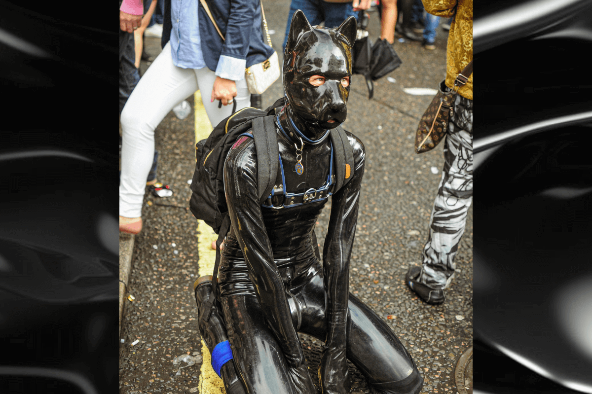 Gummifetish Symbolbild: Eine Person im Ganzkörper-Gummi-Outfit, das aussieht wie ein Hund Englisch: Rubber fetish symbol picture: a person in a full-body rubber outfit that looks like a dog